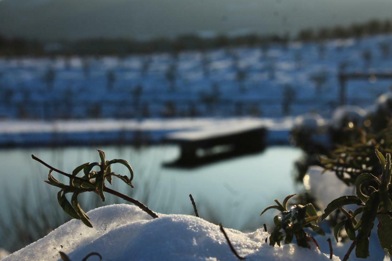 Fattoria San Paolo Agriturismo Montecastelli Pisano Kültér fotó